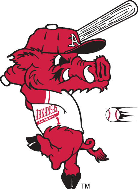 Arkansas Razorbacks 2001-Pres Mascot Logo diy DTF decal sticker...